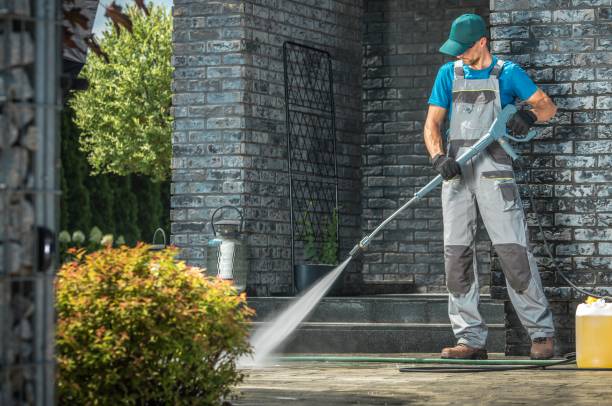 Trusted Dillingham, AK Pressure washing Experts